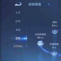 王者荣耀v10 102级大师收藏家+皮肤，大佬速来抢购！！
